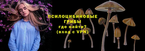 гашик Алзамай