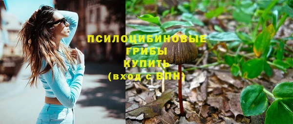 бошки Абаза