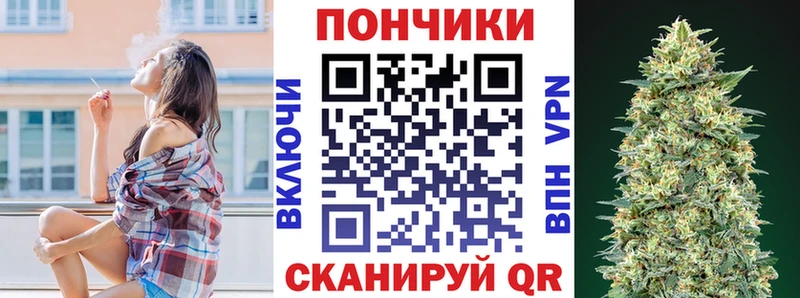 Шишки марихуана сатива  Каменногорск 